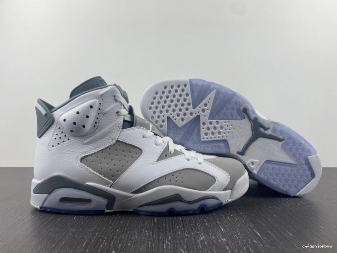 Jordan Grey Cool 6 Air CT8529-100 1031